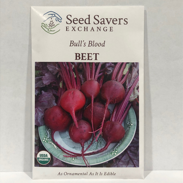 Bull's Blood Beet, Organic